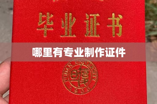 临猗哪里有专业制作证件